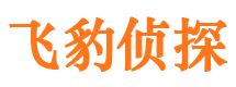 金塔私家调查公司